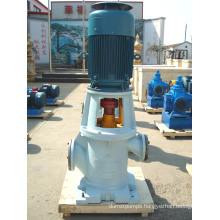 Ship Vertical Oil Gear Pump